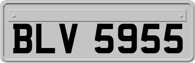 BLV5955