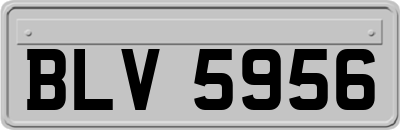 BLV5956