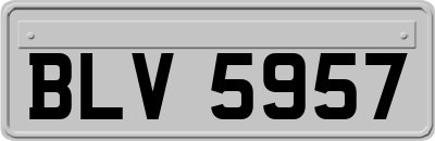 BLV5957