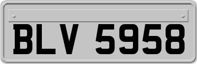 BLV5958