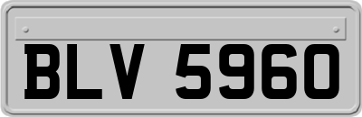 BLV5960