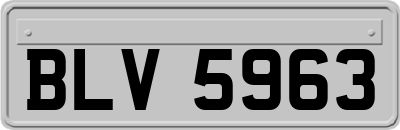 BLV5963