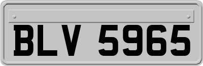 BLV5965