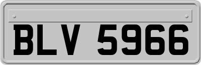 BLV5966