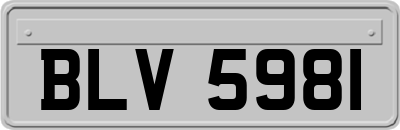 BLV5981