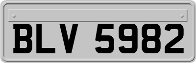 BLV5982