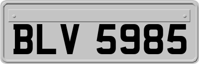 BLV5985