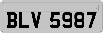 BLV5987