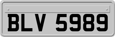 BLV5989