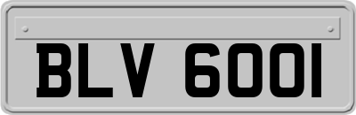 BLV6001