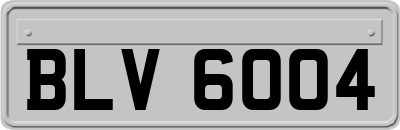 BLV6004
