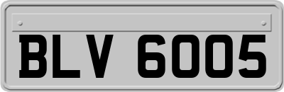BLV6005