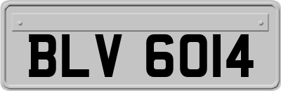 BLV6014