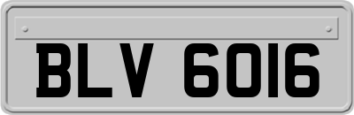 BLV6016