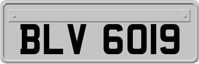 BLV6019