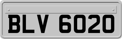 BLV6020