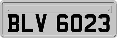 BLV6023