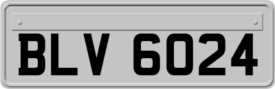 BLV6024
