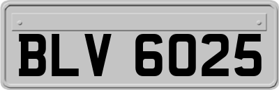 BLV6025