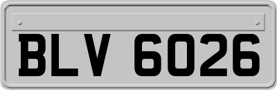 BLV6026