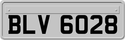 BLV6028