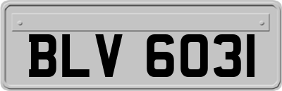 BLV6031