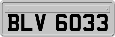 BLV6033