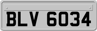 BLV6034