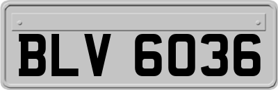 BLV6036