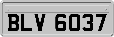 BLV6037