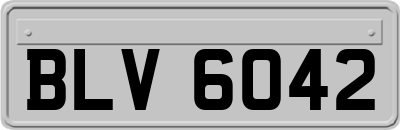 BLV6042