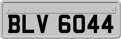 BLV6044