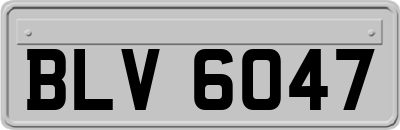 BLV6047