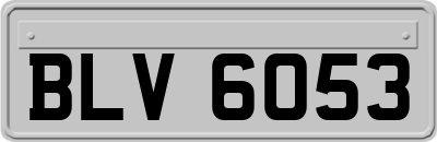 BLV6053