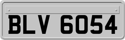 BLV6054