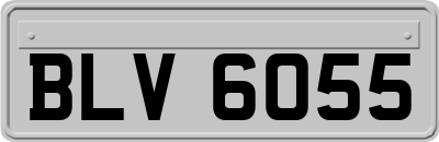 BLV6055