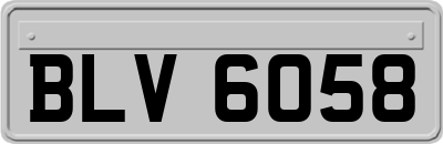 BLV6058