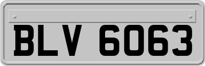 BLV6063