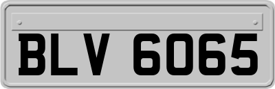 BLV6065
