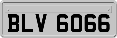 BLV6066