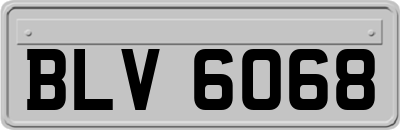BLV6068