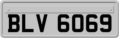 BLV6069
