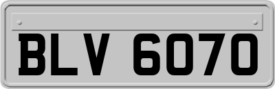 BLV6070