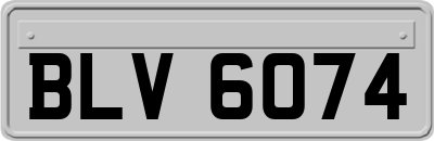BLV6074