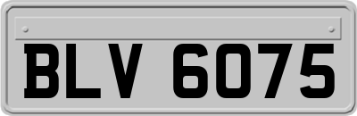 BLV6075