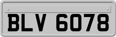 BLV6078