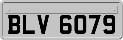 BLV6079