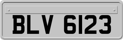 BLV6123