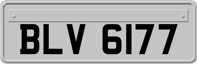 BLV6177