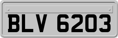 BLV6203